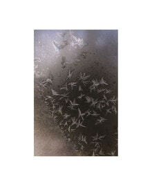Trademark Global kurt Shaffer Photographs Like a flock of ice crystal birds Canvas Art - 15.5
