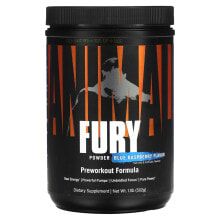 Fury Essentials, Pre Workout, Blue Raspberry, 1.09 lb (495 g)