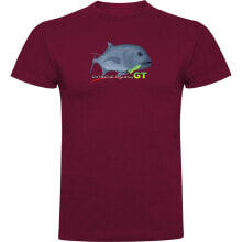 Men's sports T-shirts and T-shirts