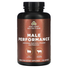 Vitamins and dietary supplements for men Ancient Nutrition