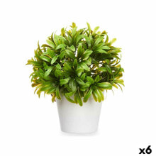 Decorative Plant Plastic 17 x 17 cm (6 Units)