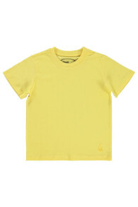 Children's T-shirts and T-shirts for boys