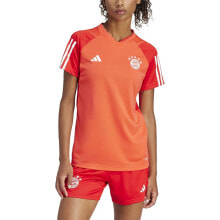 ADIDAS Bayern Munich 23/24 Short Sleeve T-Shirt Training