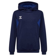 HUMMEL Authentic PL Hoodie