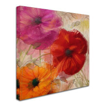 Trademark Global color Bakery 'Penchant For Poppies I' Canvas Art, 14