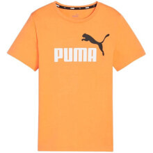  PUMA (Elomi)