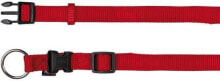 Dog Collars