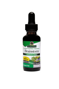 Vitamins and dietary supplements to improve memory and brain function nature&#039;s Answer Brainstorm™ Alcohol Free -- 1 fl oz