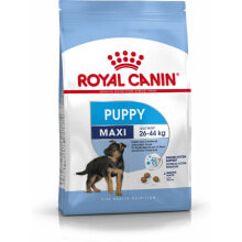 Fodder Royal Canin Maxi Puppy Kid/Junior Rice Birds 4 Kg