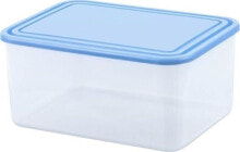 Containers and lunch boxes