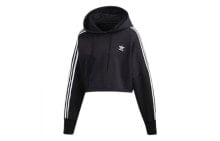 Men's Hoodies