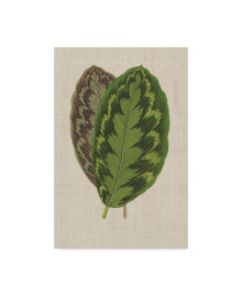 Trademark Global unknown Leaves on Linen IV Canvas Art - 20