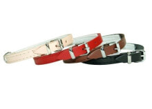 Ошейники для собак dino Leather collar Dino 12mm / 32cm black