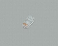 BKL Electronic 142141 - 4-pin 4P/4C (RJ10) - Transparent - Male - Straight - Plastic - Gold