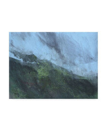 Trademark Global paul Baile Mountain Rain Canvas Art - 19.5