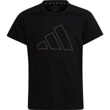 Men's sports T-shirts and T-shirts