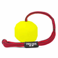 JULIUS K-9 Ball With Fluor Rope