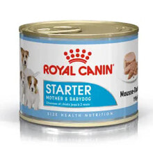 ROYAL Starter Mother BabyBox 195g Dog Snack 12 Units