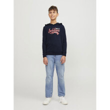 JACK & JONES Elogo 2 Hoodie