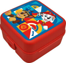 Containers and lunch boxes