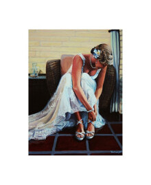 Trademark Global paul Walsh Noelle Wedding Canvas Art - 27