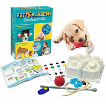 Educational and educational toys