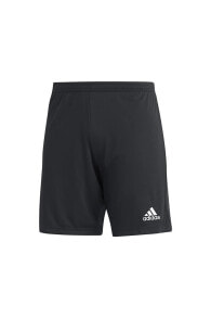 Men's Sports Shorts