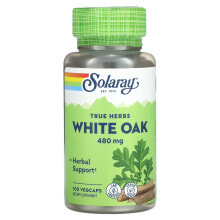 Solaray, True Herbs, белый дуб, 480 мг, 100 вегетарианских капсул