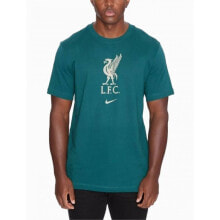 Мужские спортивные футболки Мужская спортивная футболка зеленая с логотипом Nike Liverpool FC Crest M DM3482-375 Jersey