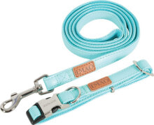 Dog Leashes