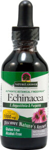 Эхинацея Nature's Answer Echinacea Root Alcohol Free -- Корень эхинацеи Без спирта - 1000 мг--60 мл