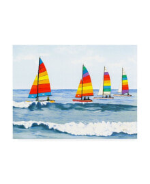 Trademark Global patrick Sullivan Sail Colors Canvas Art - 15.5