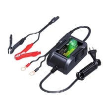 SKYRICH 12V 2Ah charger