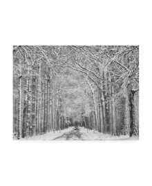 Trademark Global saskia Dingemans Winter Mood Snowstorm Canvas Art - 20