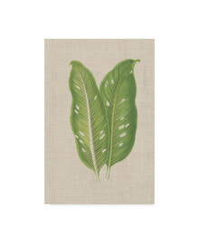 Trademark Global unknown Leaves on Linen V Canvas Art - 37