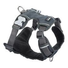 RED DINGO Acolchado Harness