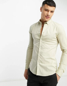 Men's Shirts