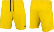 Men's Sports Shorts