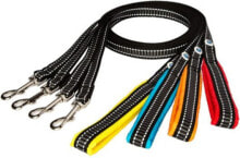 Dog Leashes