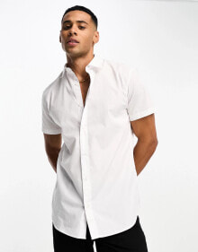 Men's Shirts