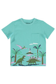 Children's T-shirts and T-shirts for boys