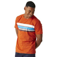 Men's sports T-shirts and T-shirts