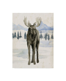 Trademark Global grace Popp Alaskan Wilderness I Canvas Art - 37