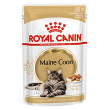 ROYAL CANIN FBN Maine Coon 85g Wet Cat Food 12 Units