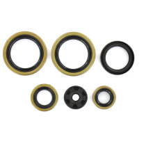 HOLESHOT KTM 1998-2014 125 EXC/SX Husqvarna 2014-2015 TC 125 Oil Seals Kit