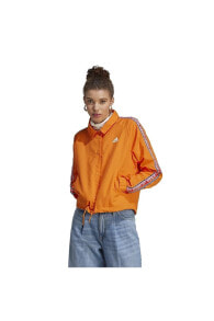 Women's Sports Jackets