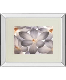 Classy Art petal Perfect by Assaf Frank Mirror Framed Print Wall Art, 34