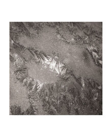 Trademark Global kurt Shaffer Photographs Mosaic of ice crystals on my window Canvas Art - 36.5
