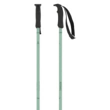 Nordic walking sticks and trekking poles