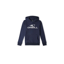 Купить детские толстовки для мальчиков ONeill: O'Neill Logo Hoodie Jr 92800615001